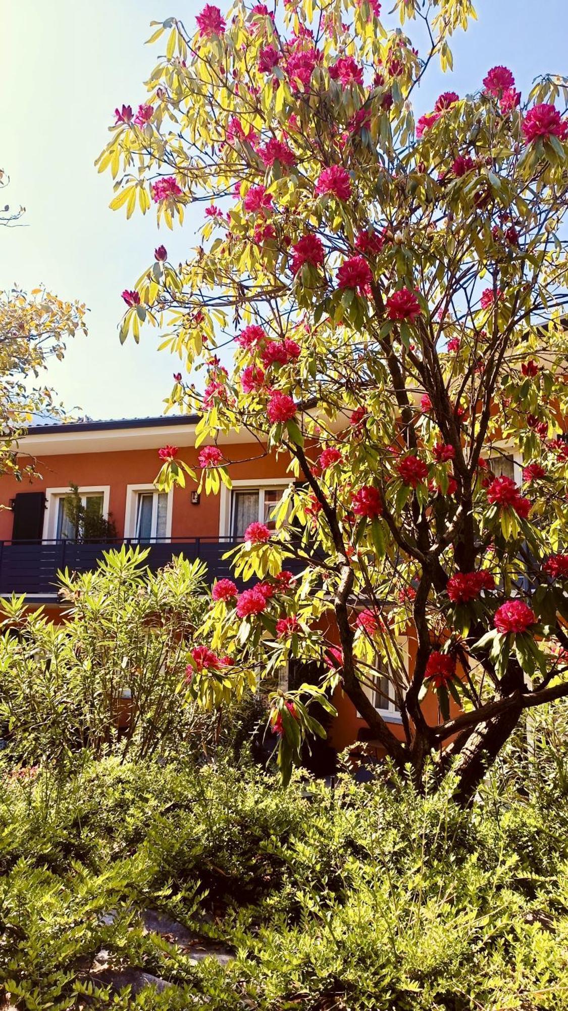 Hotel Villa Cuserina Cannobio Kültér fotó