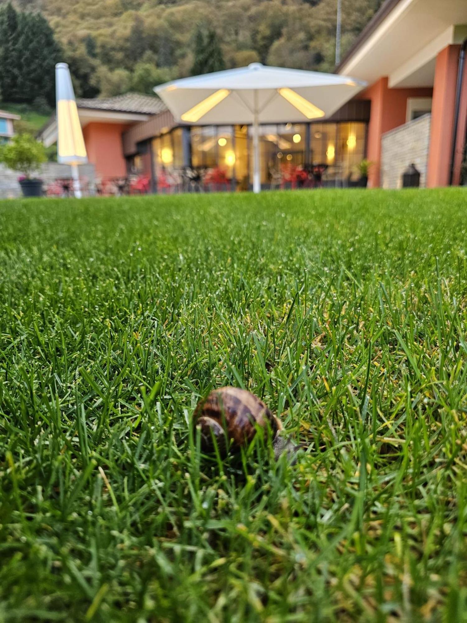 Hotel Villa Cuserina Cannobio Kültér fotó